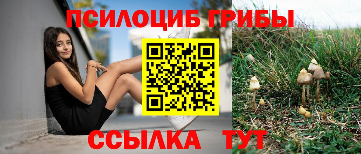 Галлюциногенные грибы прущие грибы  Вход с VPN  закладка  Благодарный 