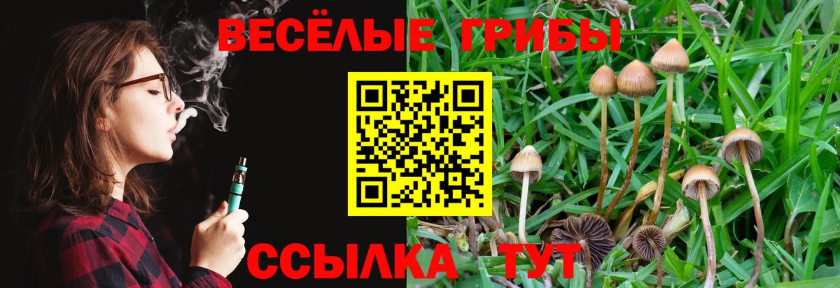 Псилоцибиновые грибы ЛСД Благодарный
