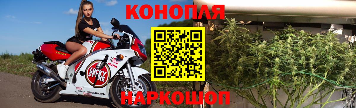 Благодарный  Марихуана планчик  Марихуана семена  Вход с VPN 